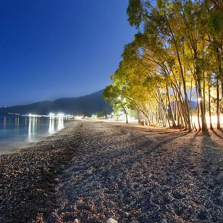 公寓 Dimitris 凯法米洛斯